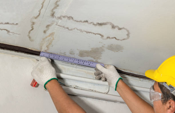Reliable Water Damage Repair contractor in Morristown, IN by Hirex Water Damage